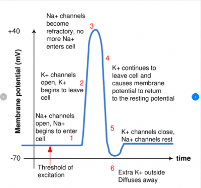 The term threshold 